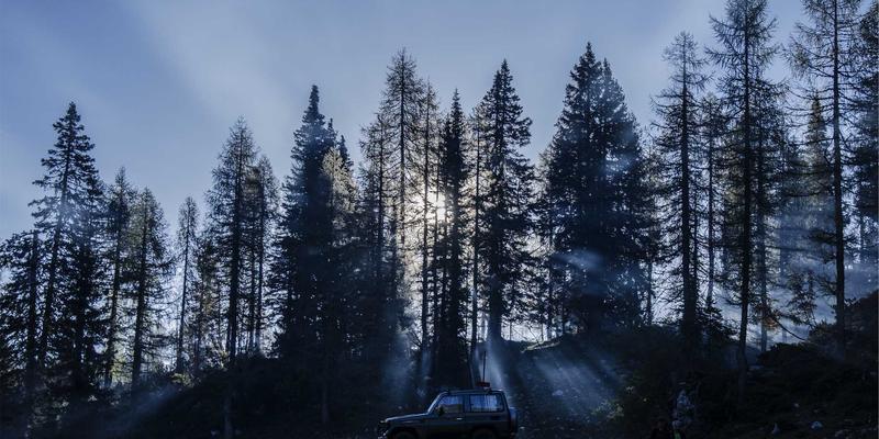 中国计算机信息系统16：数据管理、软件开发与IT系统集成的融合创新