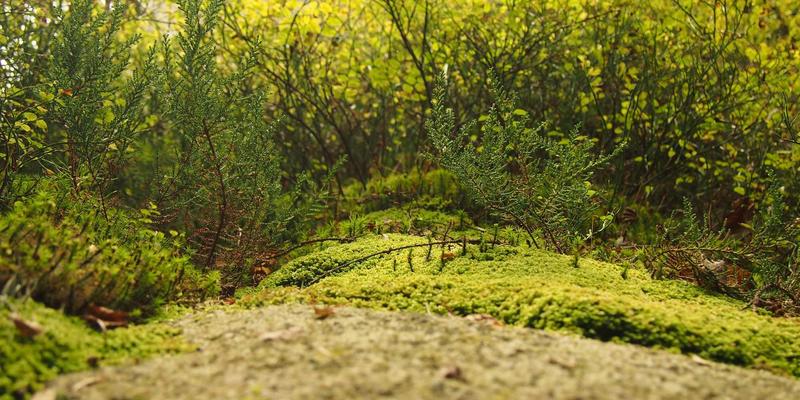 中国计算机信息系统57：软件开发、数据管理与企业IT解决方案的融合创新