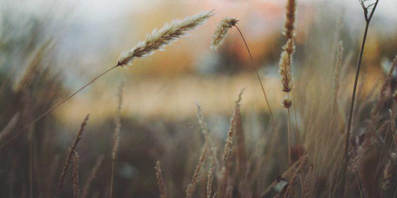 中国计算机信息系统77：软件开发、系统集成与软件服务的创新融合