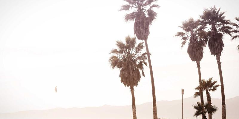 中国计算机信息系统91：数据管理与软件开发的演进与融合