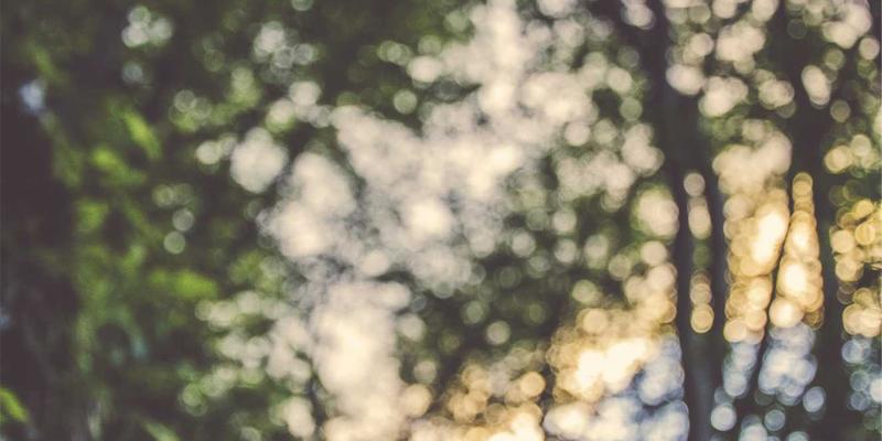 中国计算机信息系统与网络集成：驱动文化遗产数字化保护与传承的创新引擎