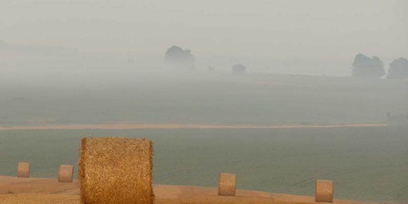 中国计算机信息系统应用：数据管理、网络集成与企业IT解决方案的融合创新