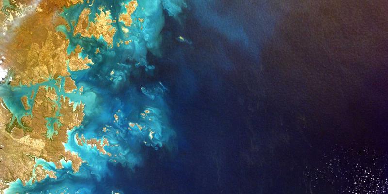 国产化浪潮下，企业如何规划IT解决方案与网络集成的替代路径？