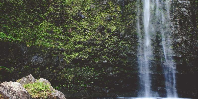 网络集成与软件开发：中国计算机信息系统在知识产权保护与侵权监测中的关键技术路径