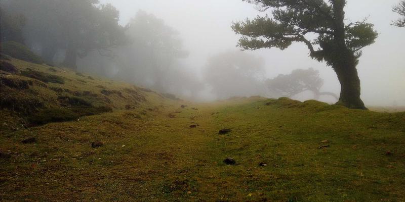 网络集成与软件服务：中国科研数据管理与共享平台的IT系统集成建设之路