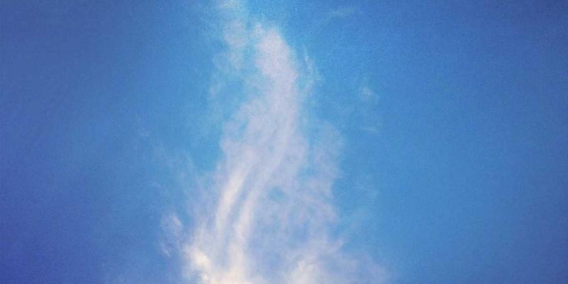 网络集成与软件服务：中国计算机信息系统如何重塑应急管理指挥平台