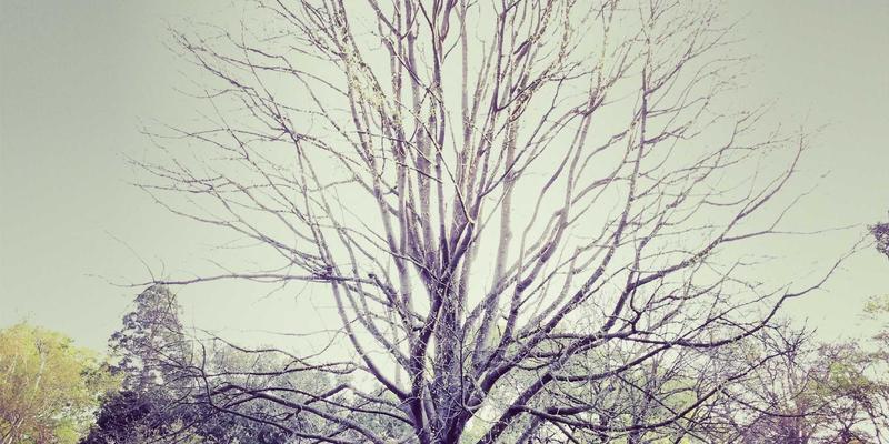 软件开发与网络集成：中国计算机信息系统如何重塑供应链物流的实时追踪与协同