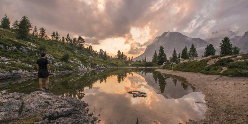 软件开发与网络集成：构建智慧农业精准管理与决策支持系统