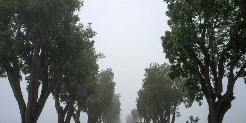 软件开发驱动中国计算机信息系统整合：企业IT解决方案在政务数据治理中的实践